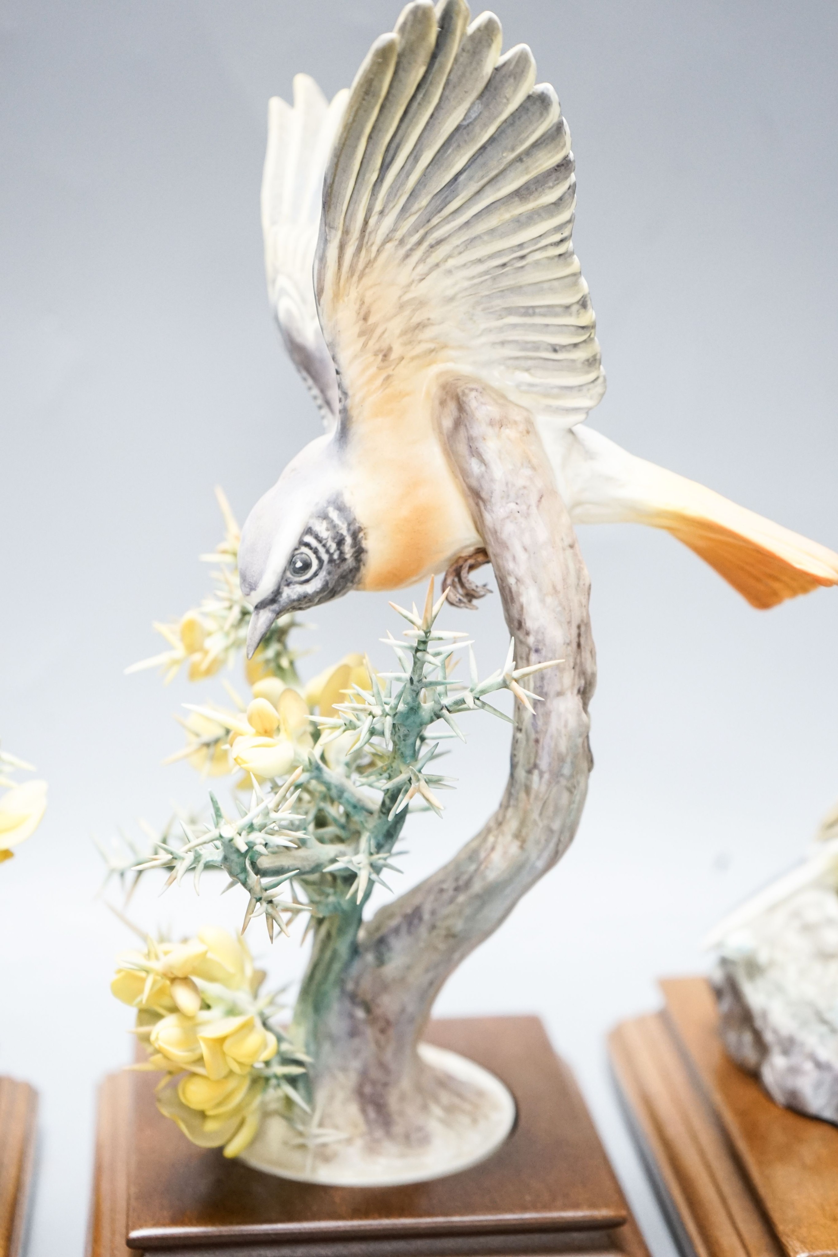 Three Royal Worcester porcelain groups of birds, modelled by Dorothy Doughty - ‘’Redstart and Gorse’’, (hen and cock) and ‘’Meadow Pipit and Silverweed’’, each with certificates